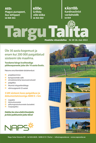 Targu Talita ; 20 2013-05-16