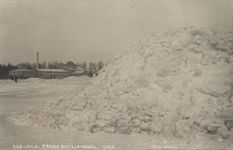 Jäämäed Pärnu supelrannal 1929