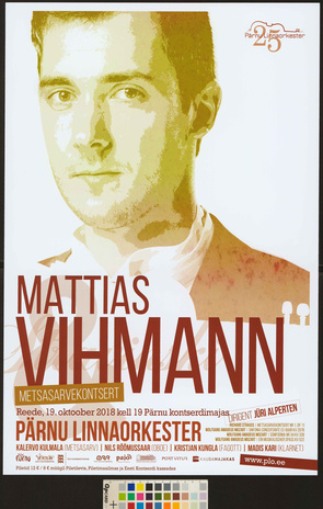Mattias Vihmann, Pärnu Linnaorkester