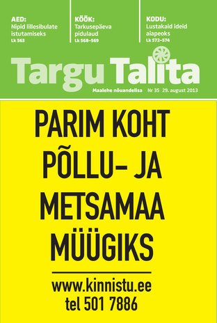 Targu Talita ; 35 2013-08-29