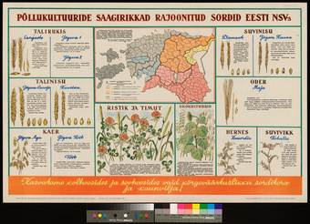 Põllukultuuride saagirikkad rajoonitud sordid Eesti NSV-s