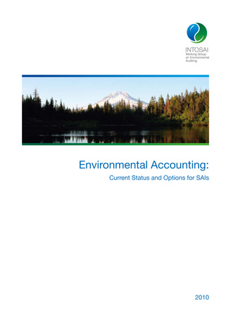 Environmental accounting : current status and options for SAIs