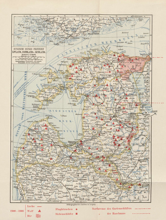 Russische Ostsee-Provinzen Livland, Esthland u. Kurland : 1900-1909 Luchs, Wolf, Bär, Flughörnchen, Siebenschläfer 