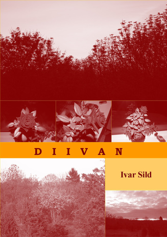 Diivan : (üheksas raamat, luuletusi 2007/2008)