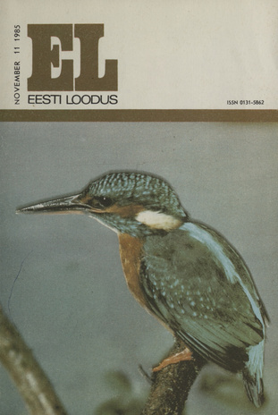 Eesti Loodus ; 11 1985-11