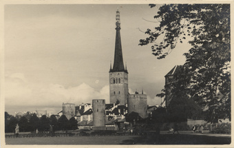 Reval : St. Olai Kirche 138,68 m : nach dem Brande am 27. VII. 1931 