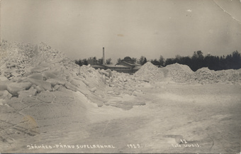 Jäämäed Pärnu supelrannal 1929
