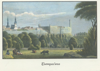 Toompea loss