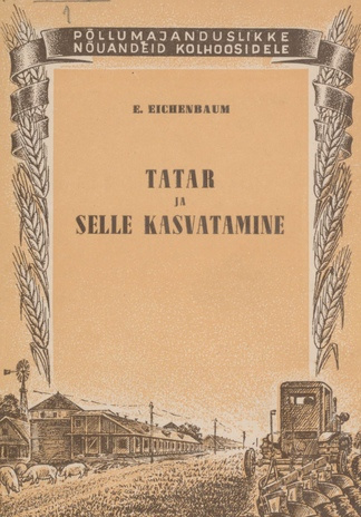 Tatar ja selle kasvatamine