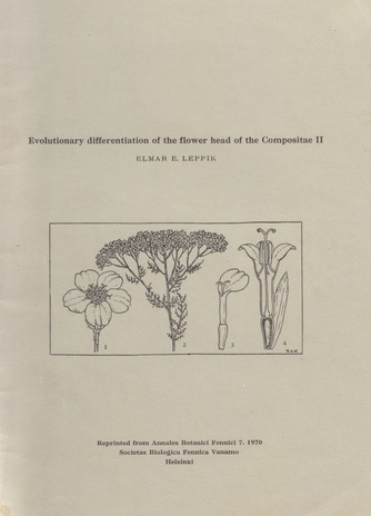 Evolutionary differentiation of the flower head of the Compositae. II 