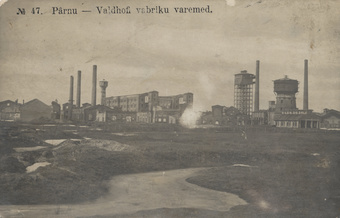 Pärnu Valdhofi vabriku varemed