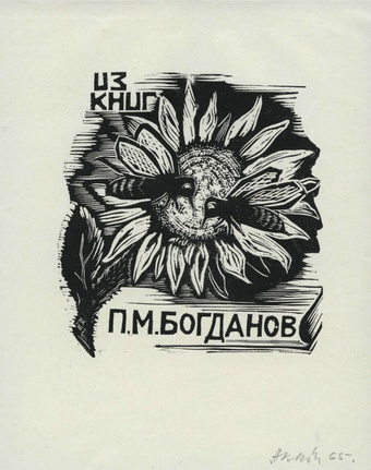 Из книг П. М. Богданов 