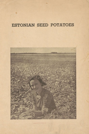Estonian seed potatoes
