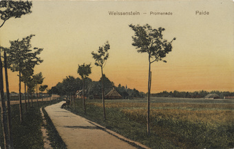 Weissenstein : Promenade = Paide
