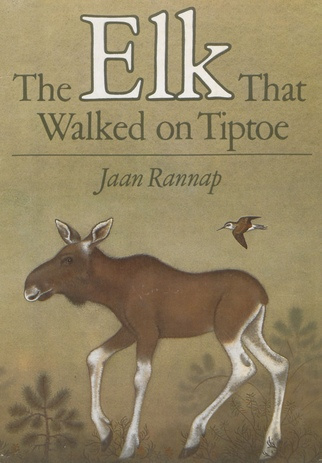 The elk that walked on tiptoe 