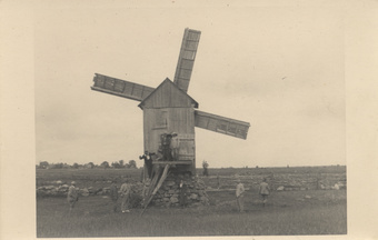 Saaremaa tuulik