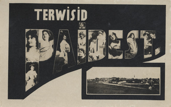Terwisid Paidest