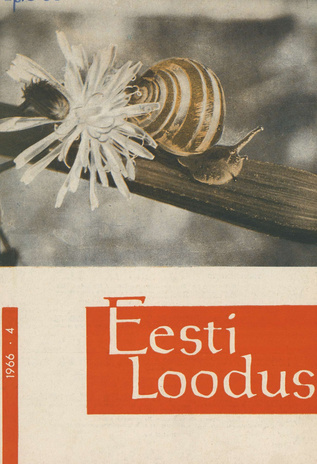 Eesti Loodus ; 4 1966-07/08