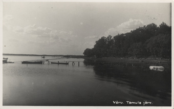 Võru Tamula järv