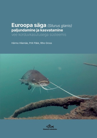Euroopa säga (Silurus glanis) paljundamine ja kasvatamine vee korduvkasutusega süsteemis 