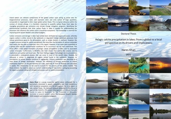 Pelagic calcite precipitation in lakes: from a global to a local perspective on its drivers and implications : thesis for applying for the degree of Doctor of Philosophy in environmental sciences and applied biology, thesis for applying for the degree ...