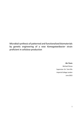 Microbial synthesis of patterned and functionalized biomaterials by genetic engineering of a new Komagataeibacter strain proficient in cellulose production : BSc thesis 
