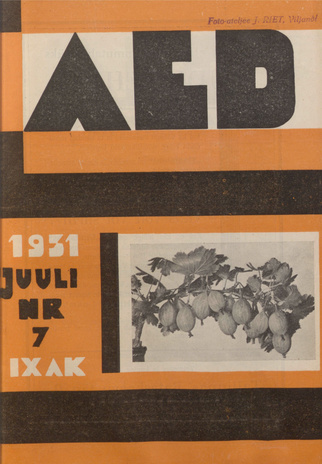 Aed : aianduse ajakiri ; 7 1931-07