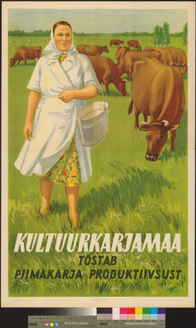 Kultuurkarjamaa tõstab piimakarja produktiivsust