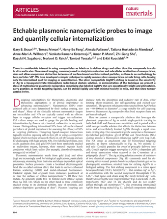 Etchable plasmonic nanoparticle probes to image and quantify cellular internalization 