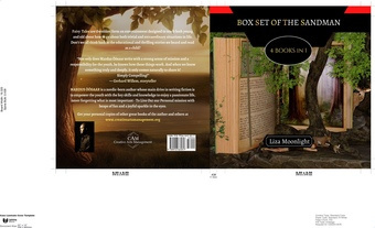Box set of  the sandman : 4 books in 1 