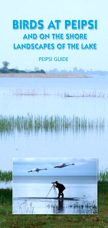 Birds at Peipsi and on the shore landscapes of the lake (Peipsi teejuht)