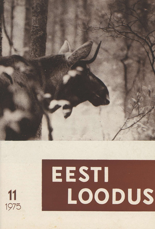 Eesti Loodus ; 11 1975-11