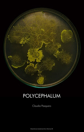 Polycephalum: the aesthetic as a measure of ecological intelligence in architecture and urban design : PhD thesis 