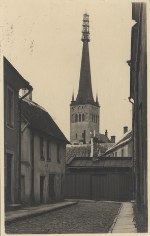 Reval : St. Olai Kirche 138,68 m : nach dem Brande am 27. VII. 1931 