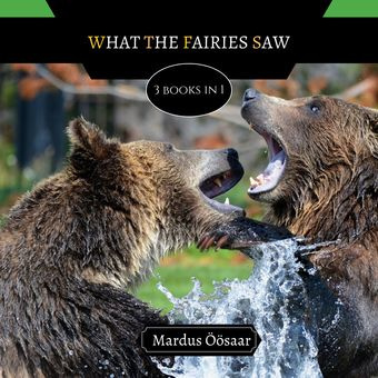 What the fairies saw : 3 books in 1 