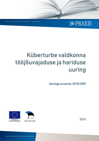 Küberturbe valdkonna tööjõuvajaduse ja hariduse uuring : uuringu aruanne, 29.03.2019 