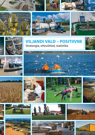 Viljandi vald - positiivne : strateegia, ettevõtted, statistika 