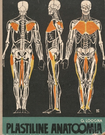 Plastiline anatoomia : funktsioon ja vorm kujutavas kunstis
