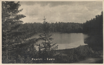 Neeruti : Eesti