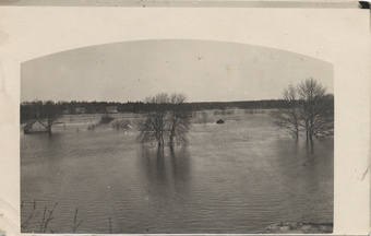 Üleujutus Pärnumaal Tori lähedal 1924