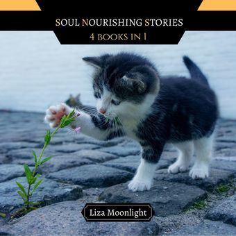 Soul nourishing stories : 4 books in 1 